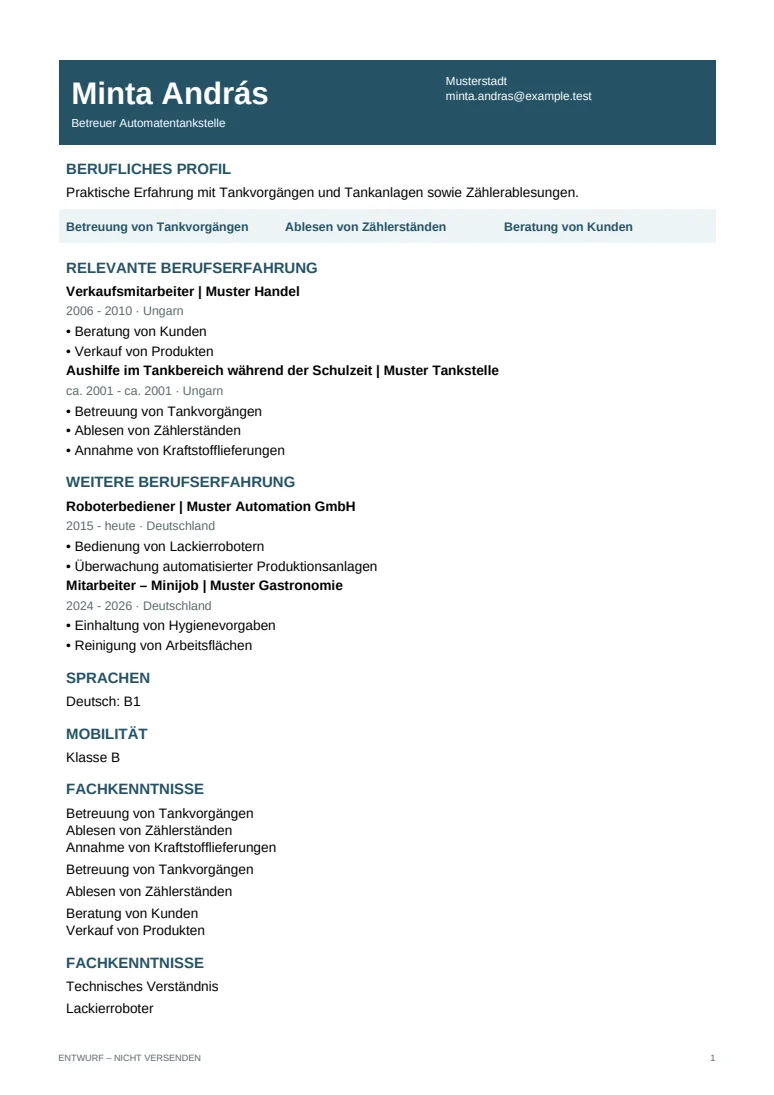 Professional – letisztult szakmai önéletrajzminta
